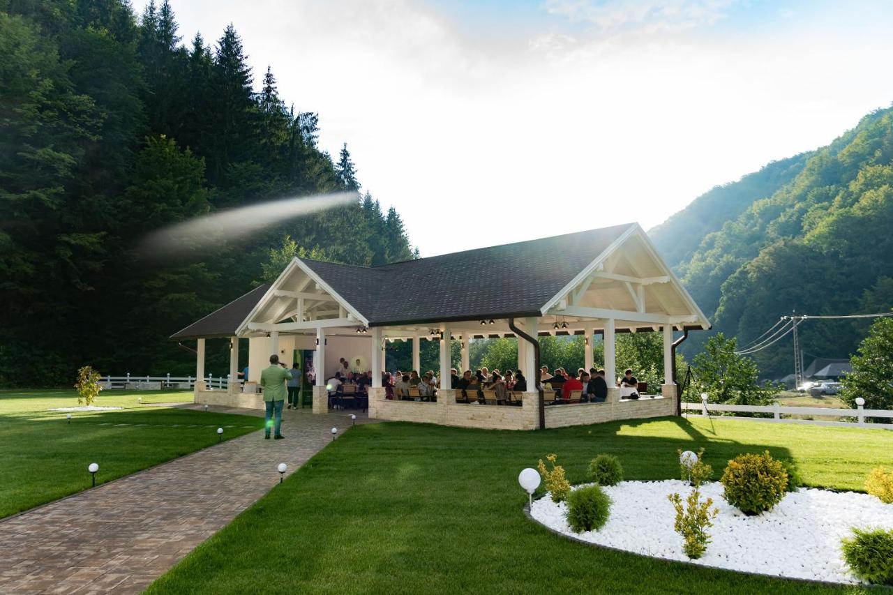 Perla Dacilor Hotel Gradistea de Munte Bagian luar foto